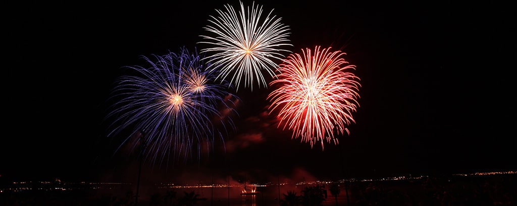 Feux d'artifice : explosion pyrotechnique, illuminez vos festivités -  Réveillon